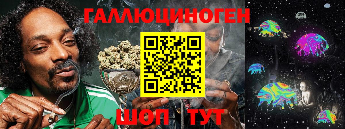 Галлюциногенные грибы прущие грибы Петропавловск-Камчатский