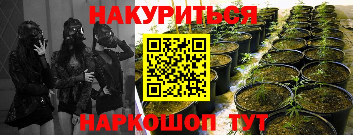 Бошки марихуана VHQ Петропавловск-Камчатский